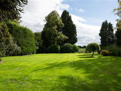 Picture 27